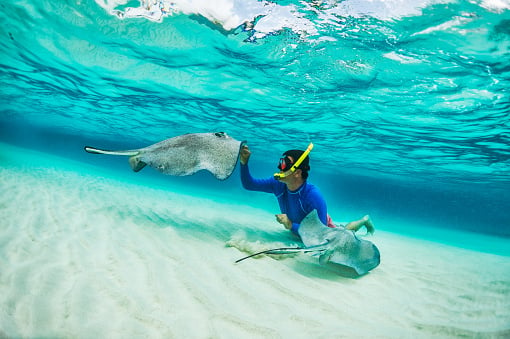 swimming with mantas